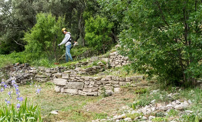 Débroussaillage de jardin, Montévrain, Monsieur THEOM ANTOINE